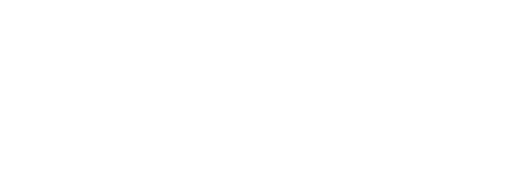 shiny wilds